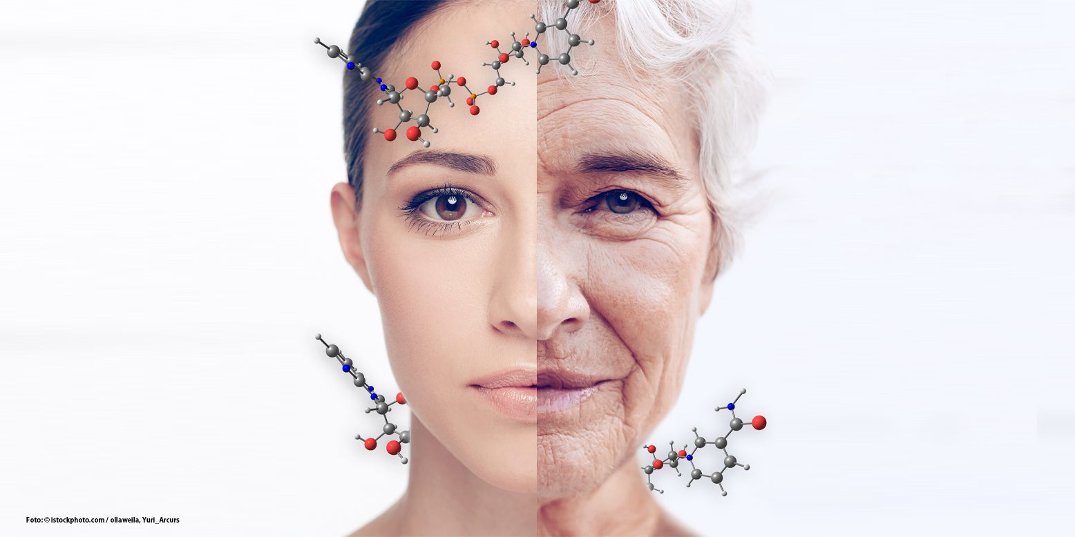 longevity: test del DNA 